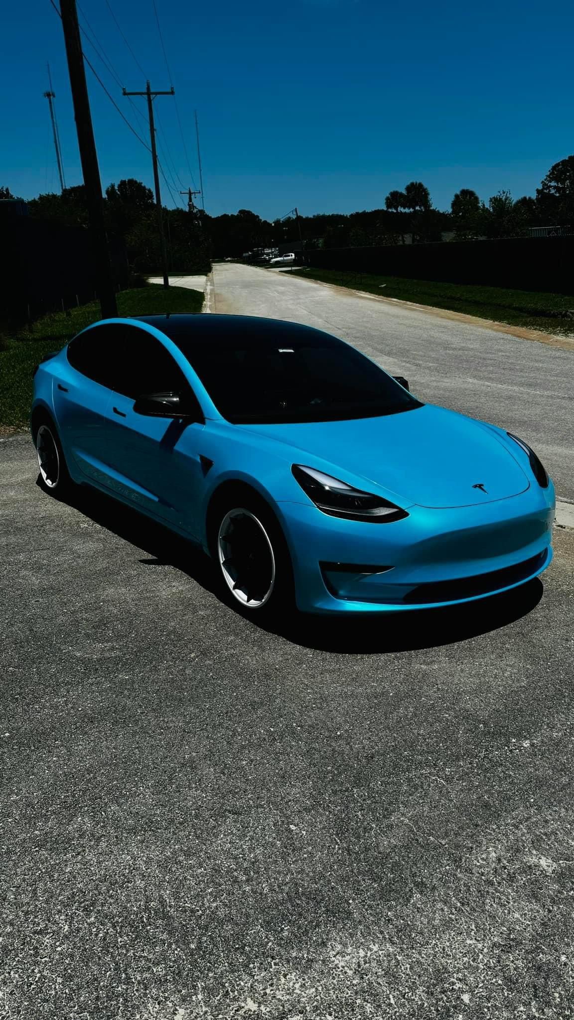 WhatsApp Image 2024-11-09 at 10.29.46 AM